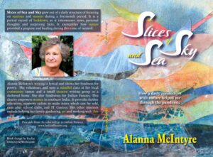 Front and back book cover layout showing the collage used as a background, the title, subtitle, author's name and back cover blurb