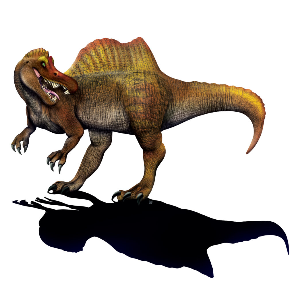 Digital illustration of Spinosaurus aegyptiacus with a skin texture effect